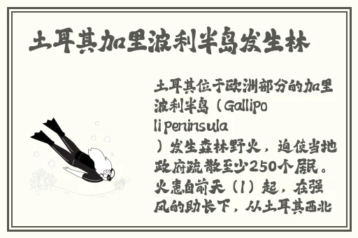 拔黄萝卜9.1腾讯